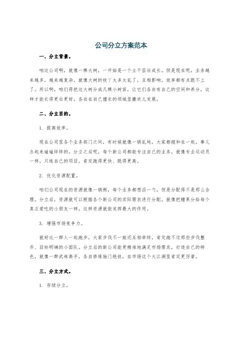 公司分立方案范本