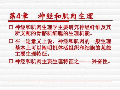 人体解剖生理学08第4章  神经和肌肉