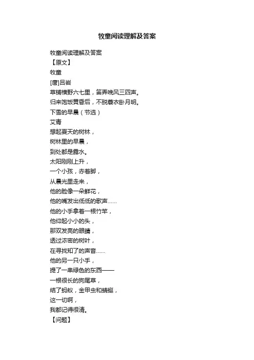 牧童阅读理解及答案