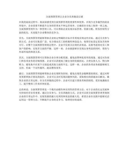 全面预算管理让企业全员奔跑读后感