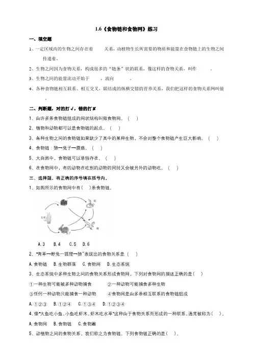 1-6《食物链和食物网》练习(含答案)
