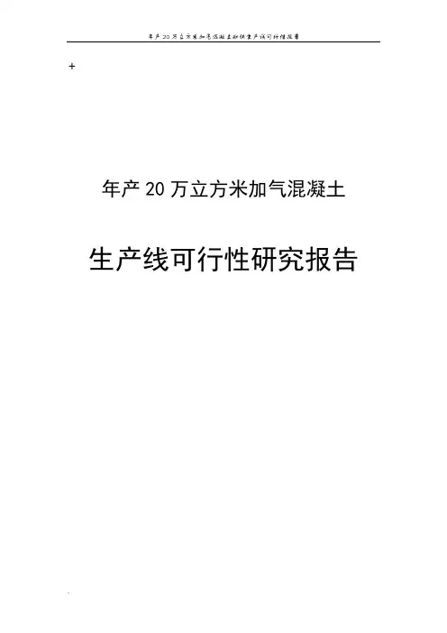年产20万立方米加气混凝土砌块生产线可行性报告