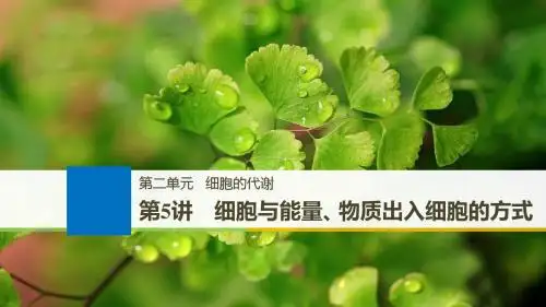 2019版高考生物一轮浙江课件:第二单元 细胞的代谢 第