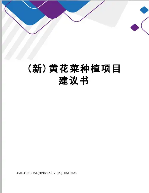 (新)黄花菜种植项目建议书