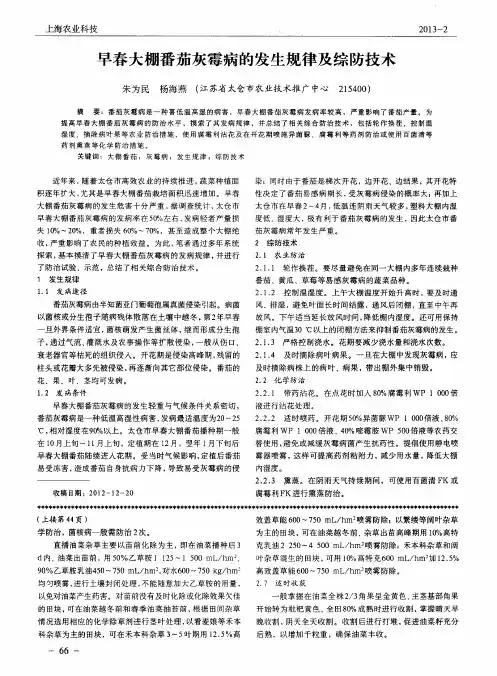 早春大棚番茄灰霉病的发生规律及综防技术