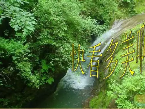 未来版品德与社会四下《家乡的四季变化》PPT课件2