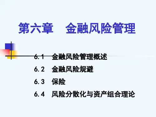 金融学课件第六章金融风险管理