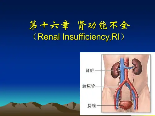肾功能不全