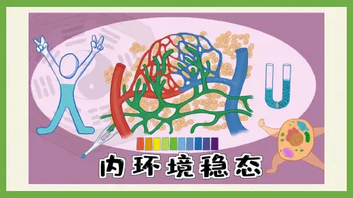 内环境的稳态ppt课件