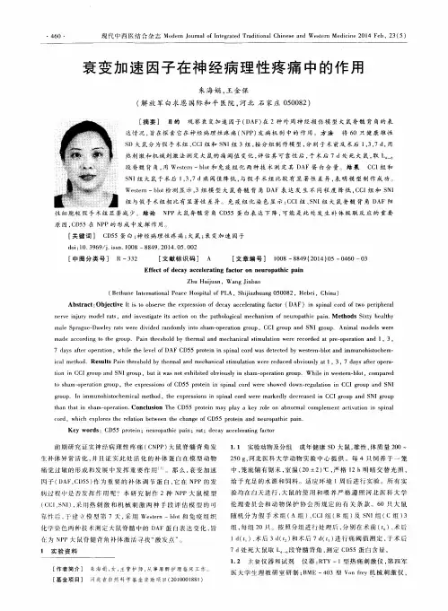 衰变加速因子在神经病理性疼痛中的作用