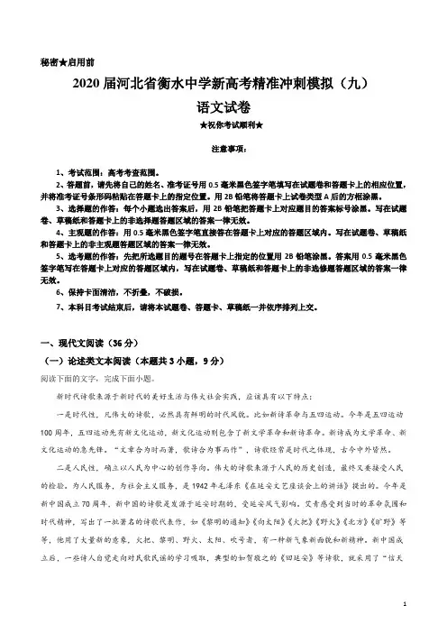 2020届河北省衡水中学新高考精准冲刺模拟(九)语文试卷