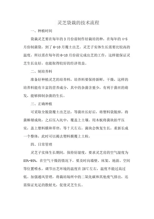 灵芝袋栽的技术流程