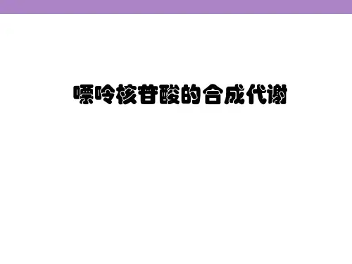 嘌呤核苷酸的分解代谢