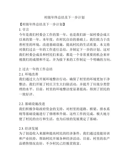 村级年终总结及下一步计划
