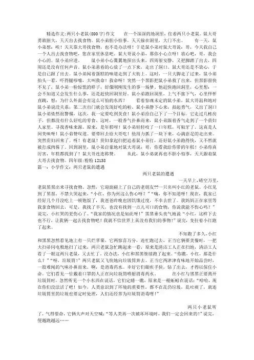 两只小老鼠(800字)作文