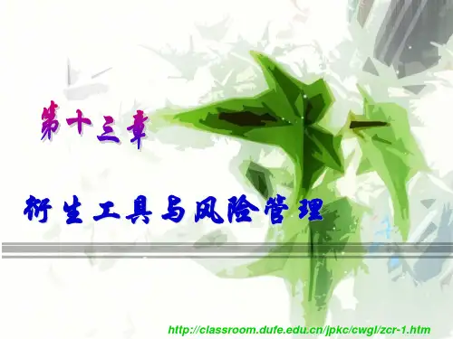 衍生工具与风险管理.ppt