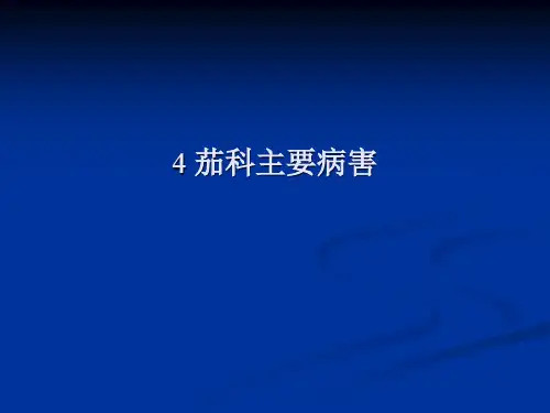 4 茄科病害  果蔬病害教学课件