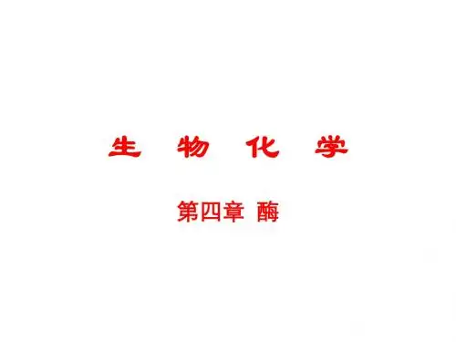 第四章 酶1