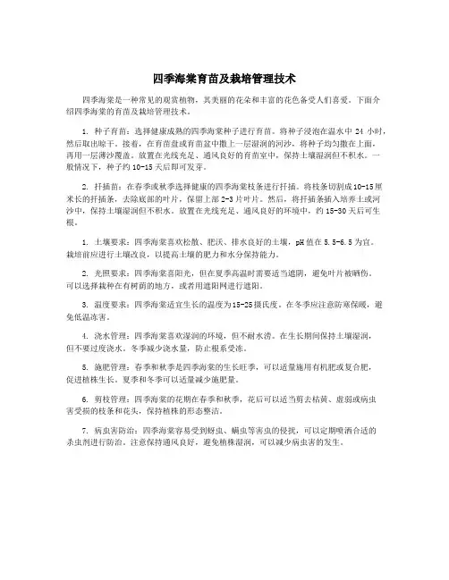 四季海棠育苗及栽培管理技术