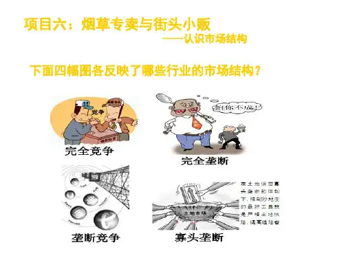 经济学基础    市场结构 课件PPT