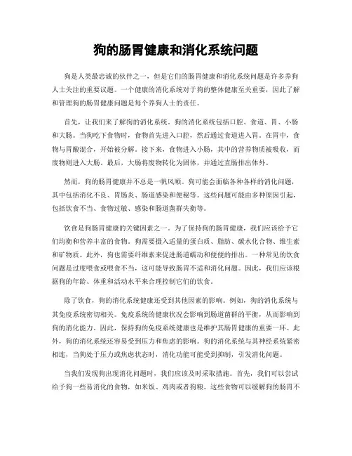狗的肠胃健康和消化系统问题
