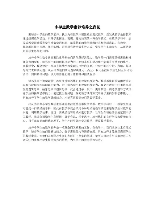 小学生数学素养培养之我见