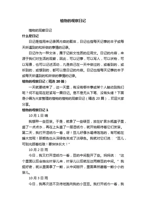 植物的观察日记（精选20篇）