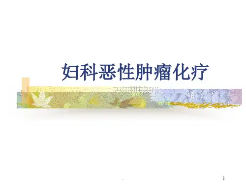 妇科肿瘤化疗方案