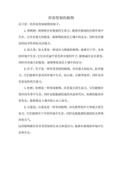 形容坚韧的植物