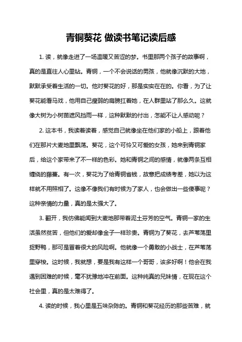 青铜葵花 做读书笔记读后感
