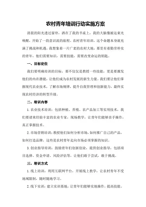 农村青年培训行动实施方案
