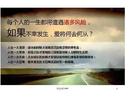 标准普尔家庭资产配置象限图ppt课件