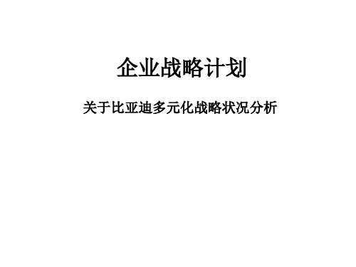 比亚迪公司的多元化状况