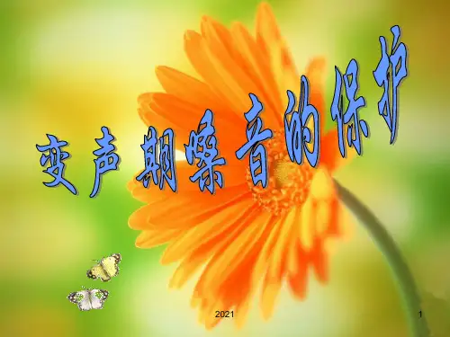 湘艺版初中音乐-变声期的嗓音保护-PPT课件