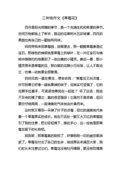 写草莓花的作文500字三年级