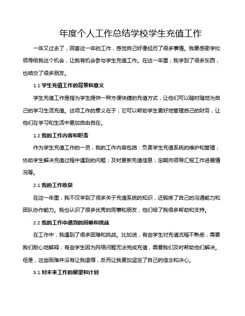 年度个人工作总结学校学生充值工作