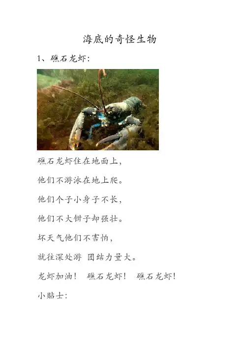 海底的奇怪生物