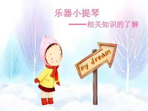 小提琴简介