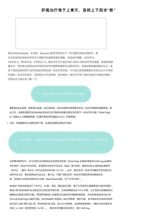 肝癌治疗难于上青天，吾将上下而求“索”