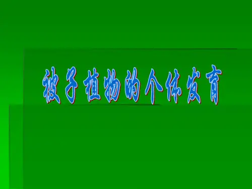 被子植物果实和种子的发育