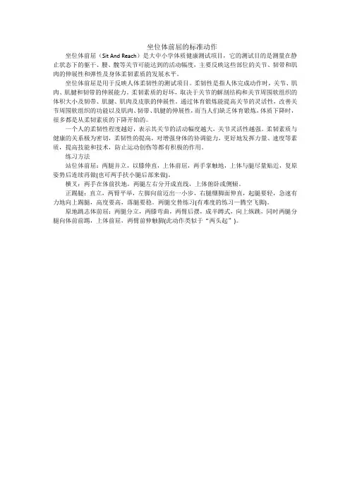 坐位体前屈的标准动作