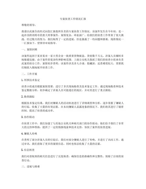 专案侦查工作情况汇报