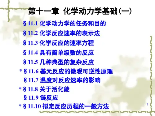 物理化学11章 化学动力学基础(一)
