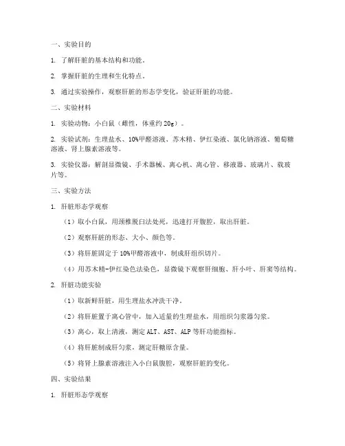 肝实验报告