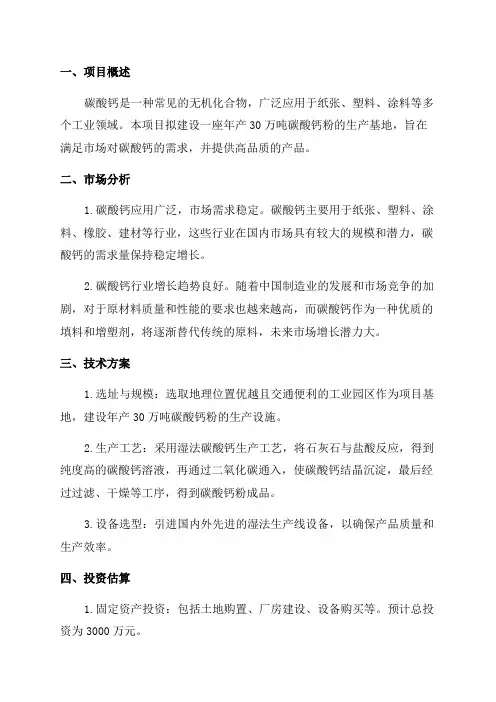 年产30万吨碳酸钙粉建设项目可行性研究报告