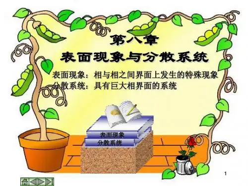 物理化学课件-第8章 表面现象与分散系统