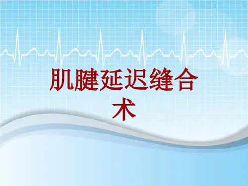 外科手术教学资料：肌腱延迟缝合术讲解模板