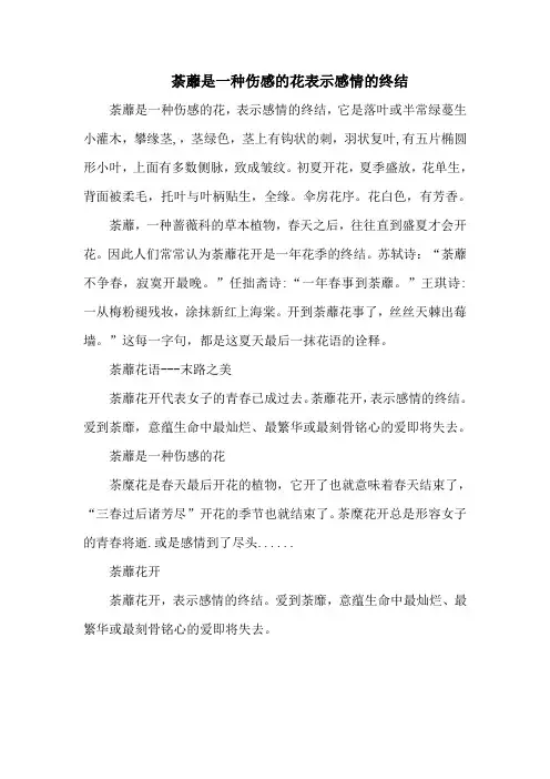 荼蘼是一种伤感的花表示感情的终结