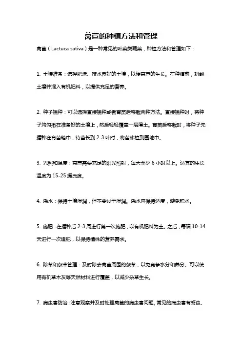 莴苣的种植方法和管理