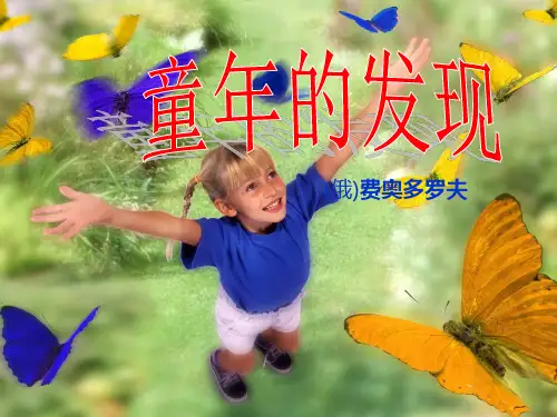 8、童年的发现ppt(完美版)